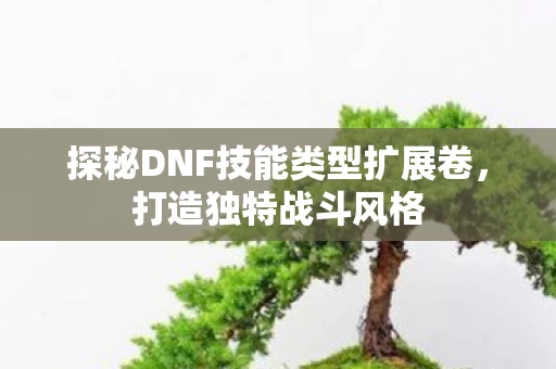 探秘DNF技能类型扩展卷图片
