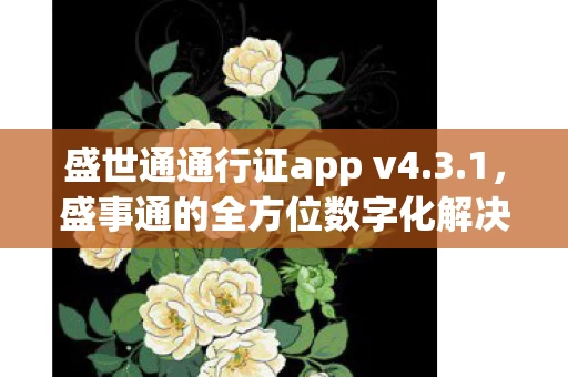 盛事通的全方位数字化解决方案图片