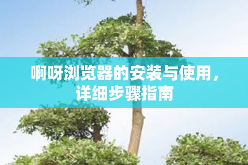 啊呀浏览器的安装与使用图片