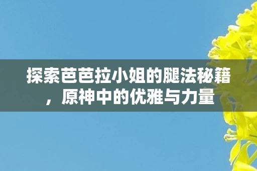 探索芭芭拉小姐的腿法秘籍图片