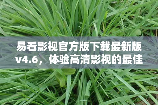 易看影视官方版下载最新版v4图片