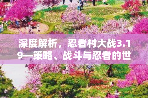 战斗与忍者的世界图片