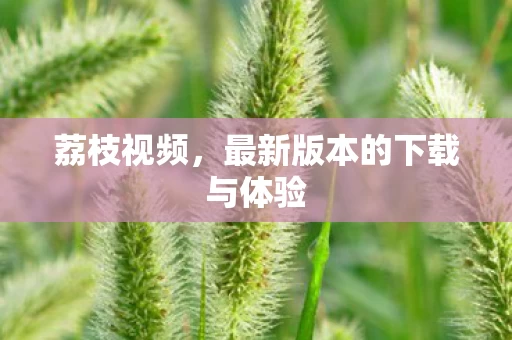 最新版本的下载与体验图片