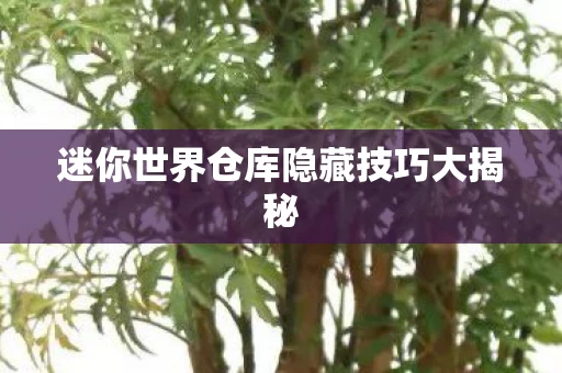 迷你世界仓库隐藏技巧大揭秘图片