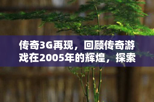 回顾传奇游戏在2005年的辉煌图片
