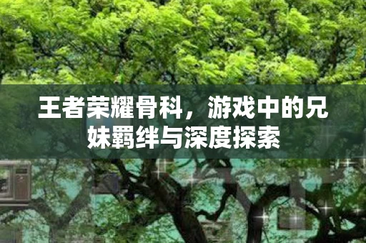 游戏中的兄妹羁绊与深度探索图片