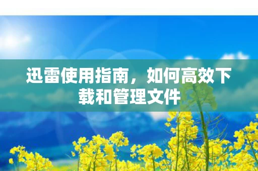 如何高效下载和管理文件图片