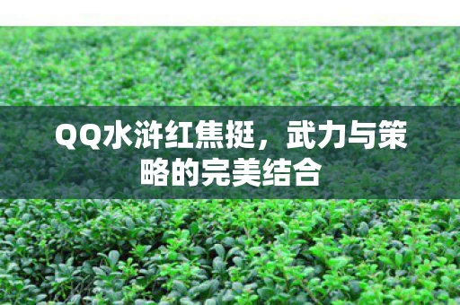 武力与策略的完美结合图片