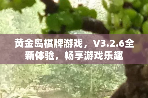 黄金岛棋牌游戏图片
