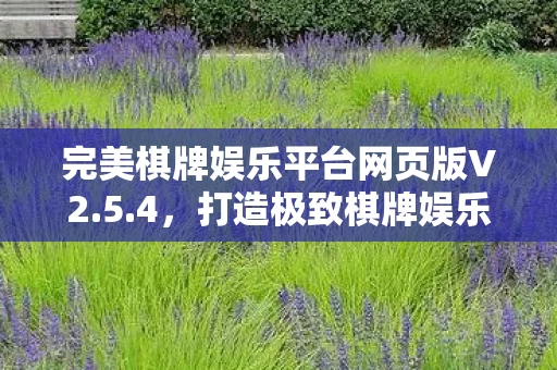 完美棋牌娱乐平台网页版V2图片