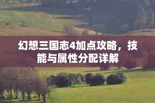 幻想三国志4加点攻略图片