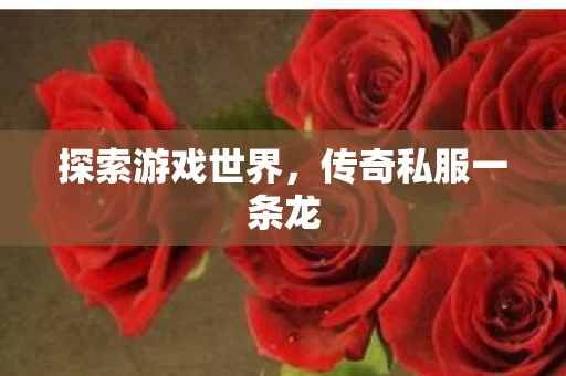 传奇私服一条龙图片