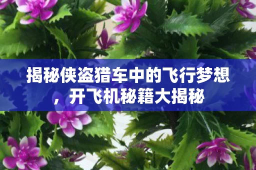 揭秘侠盗猎车中的飞行梦想图片