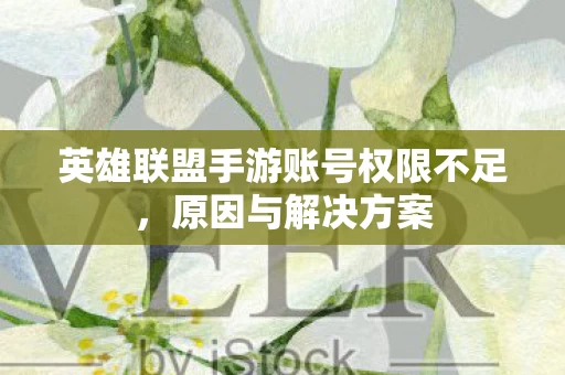 英雄联盟手游账号权限不足图片