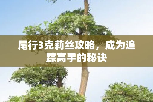 成为追踪高手的秘诀图片
