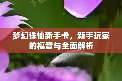 新手玩家的福音与全面解析图片