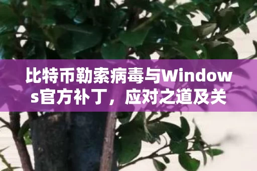 比特币勒索病毒与Windows官方补丁图片