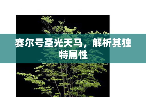 赛尔号圣光天马图片