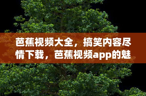 芭蕉视频app的魅力之旅图片