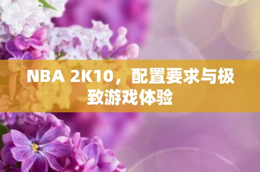 配置要求与极致游戏体验图片
