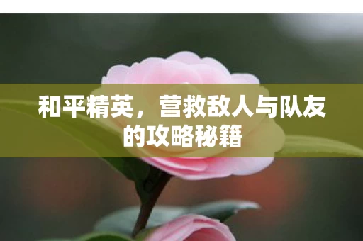 营救敌人与队友的攻略秘籍图片