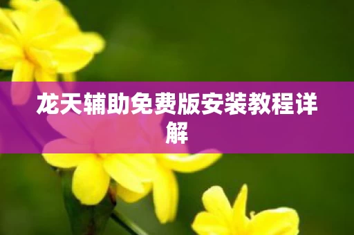龙天辅助免费版安装教程详解图片