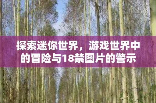 游戏世界中的冒险与18禁图片的警示图片