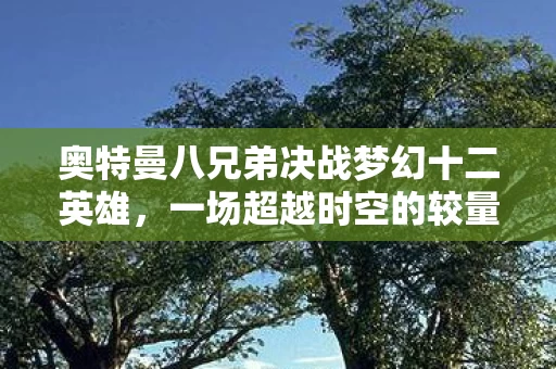 奥特曼八兄弟决战梦幻十二英雄图片