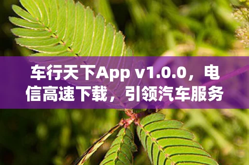 车行天下App v1图片