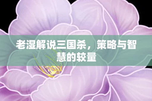 策略与智慧的较量图片