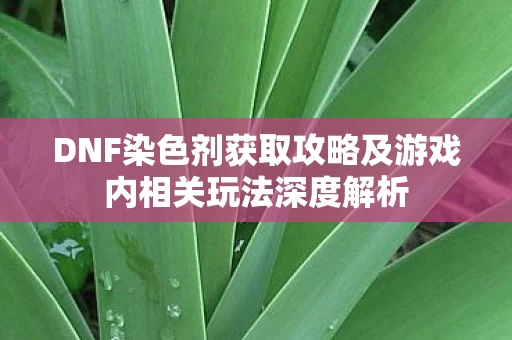 DNF染色剂获取攻略及游戏内相关玩法深度解析图片