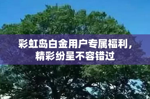 彩虹岛白金用户专属福利图片