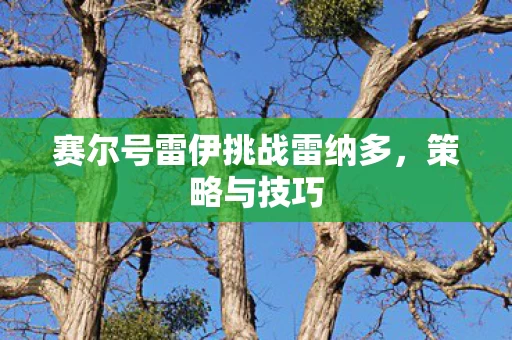 赛尔号雷伊挑战雷纳多图片