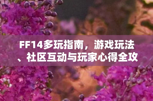 社区互动与玩家心得全攻略图片