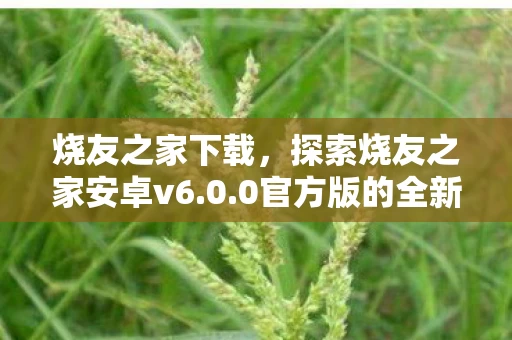 探索烧友之家安卓v6图片
