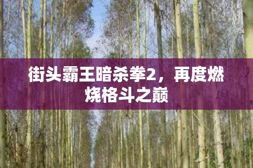 街头霸王暗杀拳2图片