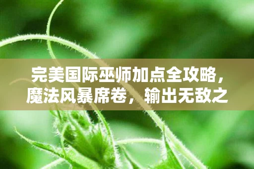 完美国际巫师加点全攻略图片