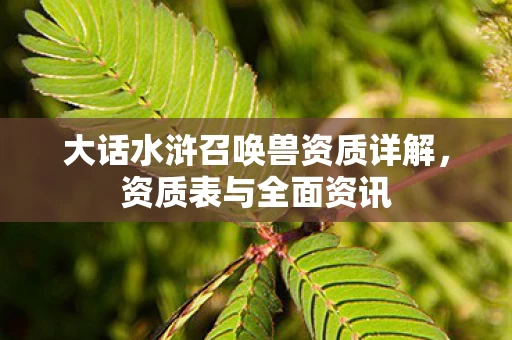 大话水浒召唤兽资质详解图片