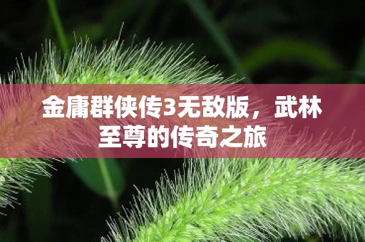 金庸群侠传3无敌版图片