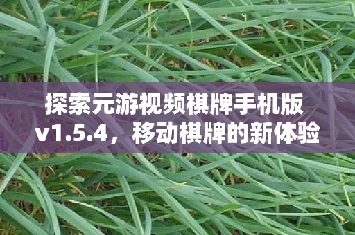 探索元游视频棋牌手机版 v1图片