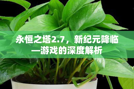 游戏的深度解析图片