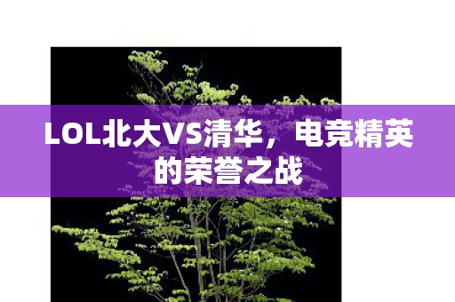 LOL北大VS清华图片