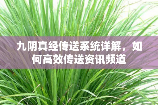 九阴真经传送系统详解图片