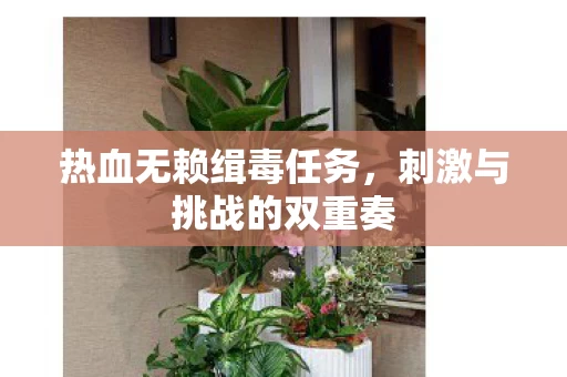 刺激与挑战的双重奏图片