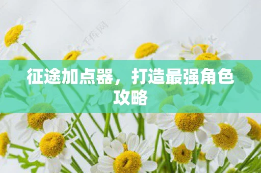 打造最强角色攻略图片