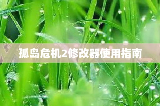 孤岛危机2修改器使用指南图片
