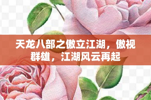天龙八部之傲立江湖图片