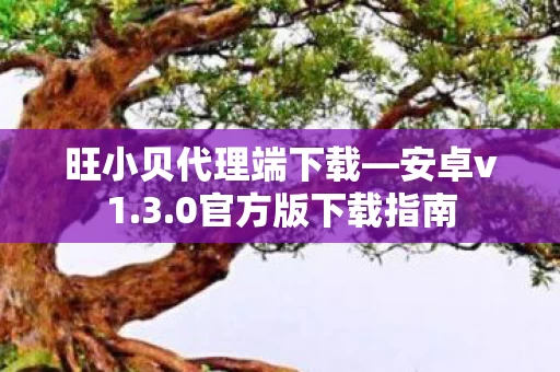 旺小贝代理端下载图片