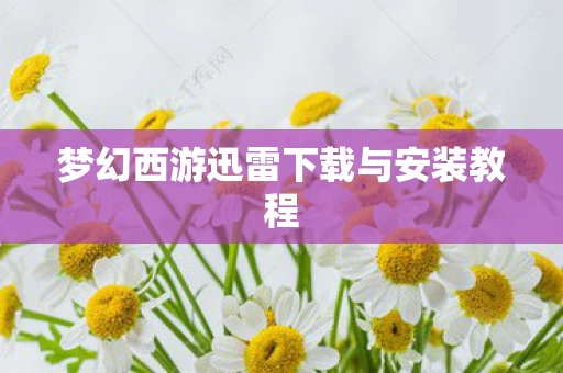梦幻西游迅雷下载与安装教程图片