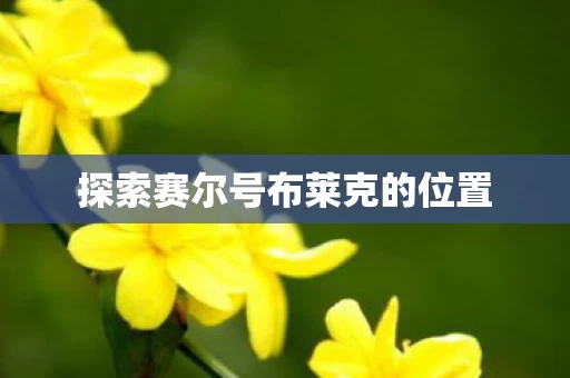 探索赛尔号布莱克的位置图片